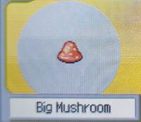 Big Mushroom (Pokemon Ranger).jpg