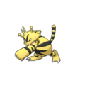 Electabuzz #296