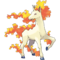 078Rapidash.png