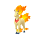 Rapidash