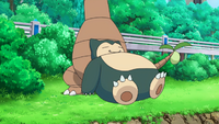 Aether Paradise Snorlax.png