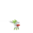 Shaymin