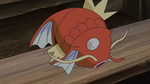 Oranguru place Magikarp.png