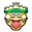 Ludicolo