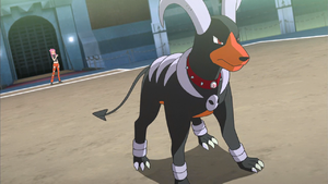 Malva Houndoom.png