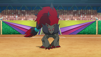 Gladion's Zoroark