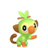 Grookey