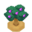 KasibTreeBerryVI XY.png