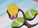 Pokémon Nurse School Bellsprout.png