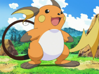 Sho's Raichu