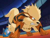 Tucker's Arcanine