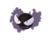 Gastly