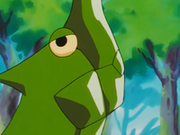 Samurai's Metapod