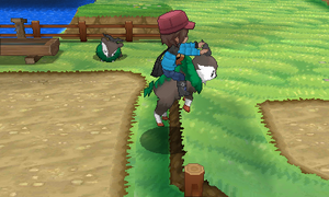 XY Riding Skiddo.png