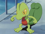 Ash Treecko.png