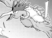 Camera Fearow M22 manga.png