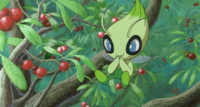 Sam's Celebi