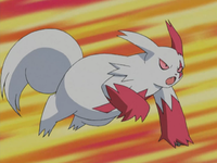 John's Zangoose