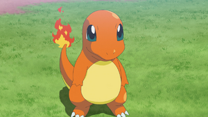 Charmander anime.png