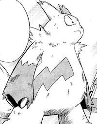 Enta's Zangoose