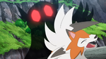 Nanu Sableye Shadow Sneak.png