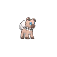 Pokédex Image Rockruff SM.png