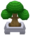 Elegant Bonsai