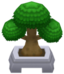 Elegant Bonsai VI.png