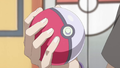 A Poké Ball in Pokémon Generations