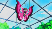 Viola's Vivillon