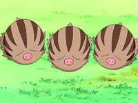 Swinub (×3)