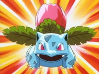 Pokémon League entrance exam instructor's Ivysaur