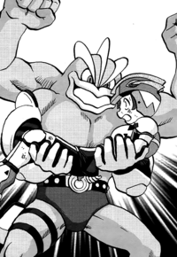 Sun's Machamp