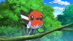 Ash Fletchling.png