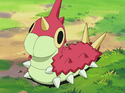 May Wurmple.png