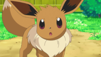 Virgil's Eevee