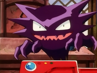 Captain's Haunter