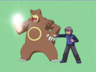 Paul and Ursaring DP.png