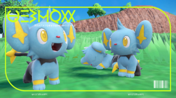 Pokédex Image Shinx SV.png