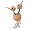 Doduo