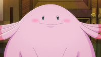 Cheryl's Chansey