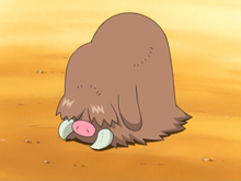 Dawn Piloswine.png