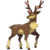 Sawsbuck