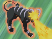 Harrison's Houndoom