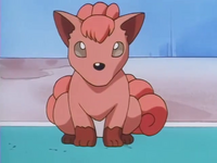 Brock's Vulpix