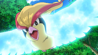 Ash Pidgeot Wing Attack.png