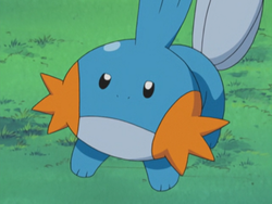 Brock Mudkip debut.png