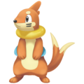 Buizel