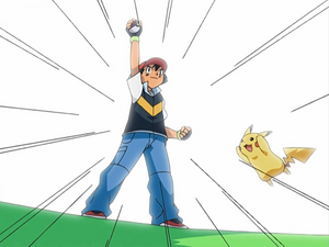 Ash catching Turtwig.png