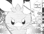 Chamo-Chamo Pretty Torchic Frustration.PNG